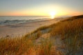 Dunes on the coast of the Baltic Sea, sunrise on the beach on a summer day. Royalty Free Stock Photo